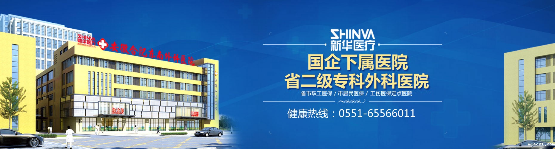 这里是第三张图片